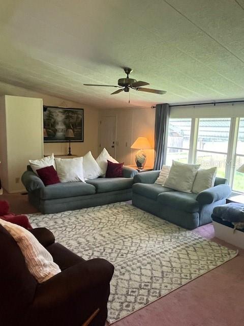 810 LOUISE ST, BRANDON, FL, 33511