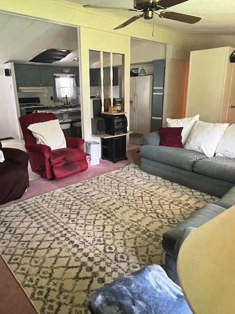 810 LOUISE ST, BRANDON, FL, 33511
