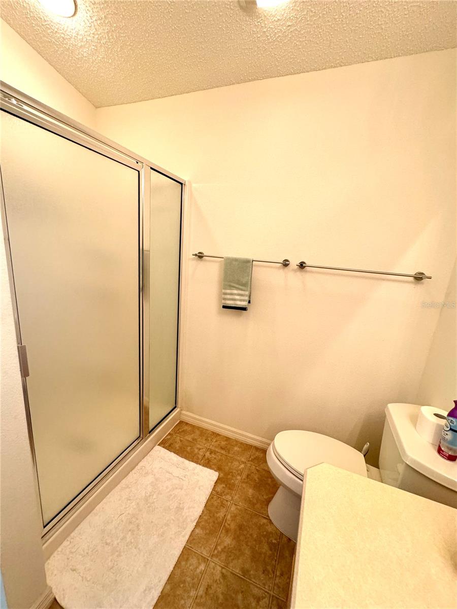 1089 REIDVILLE RD, THE VILLAGES, FL, 32162