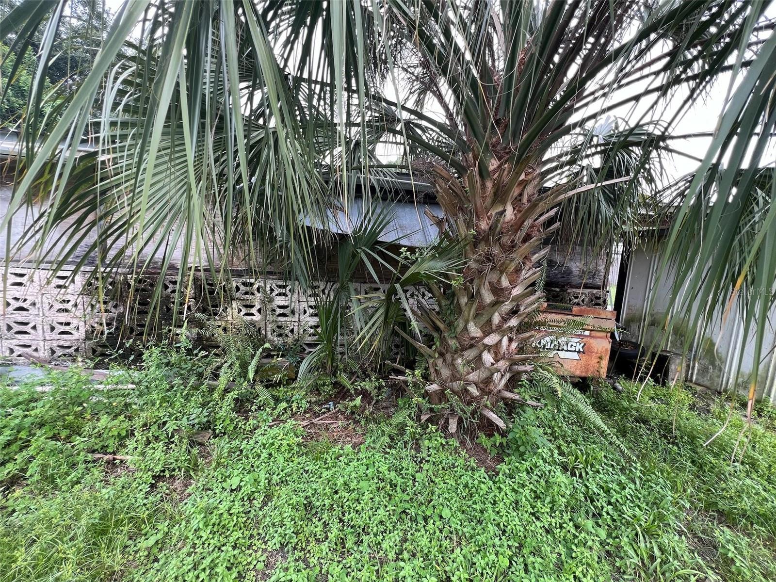 307 W CARVER ST, LAKELAND, FL, 33805