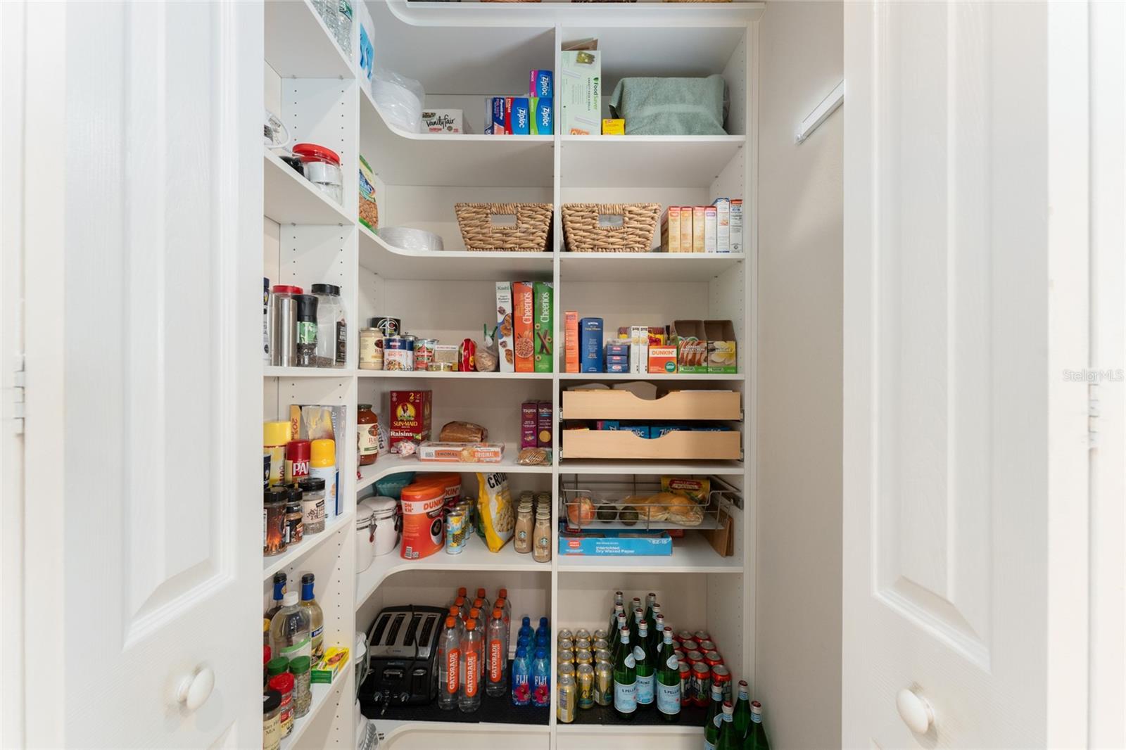 39505 HILLRISE LN, LADY LAKE, FL, 32159