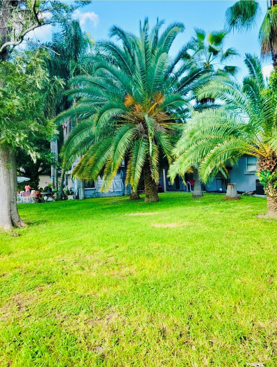 5050 74TH ST N #1, ST PETERSBURG, FL, 33709