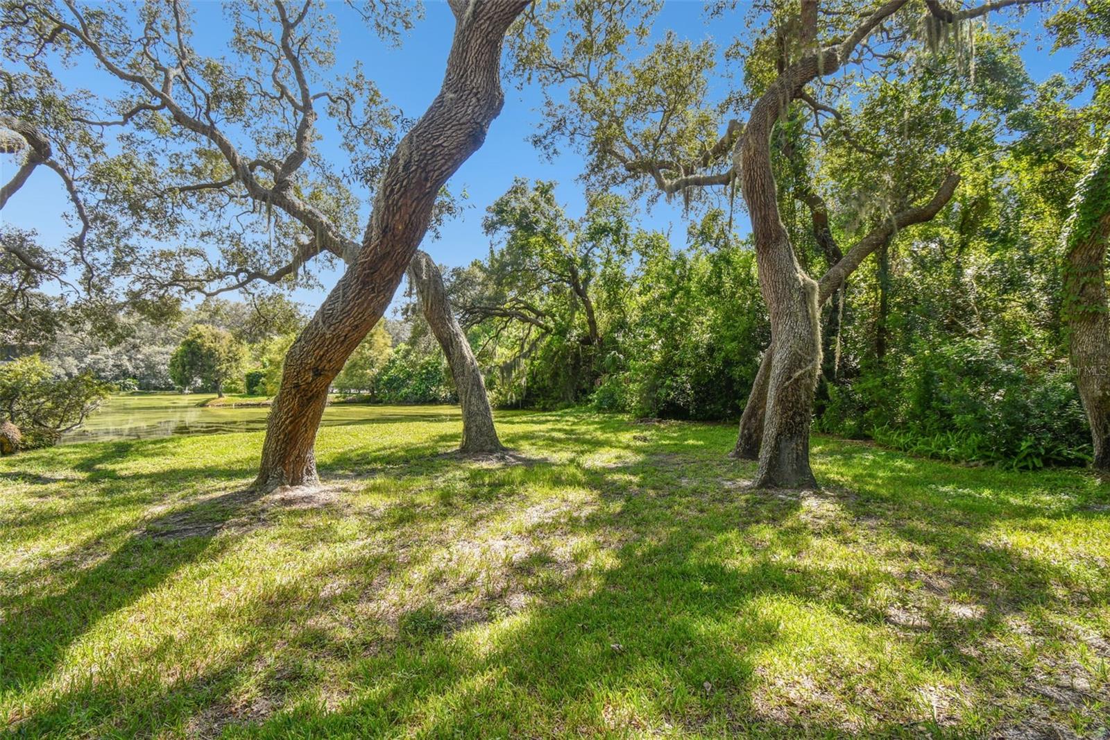 1900 WHISPERING WAY, TARPON SPRINGS, FL, 34689