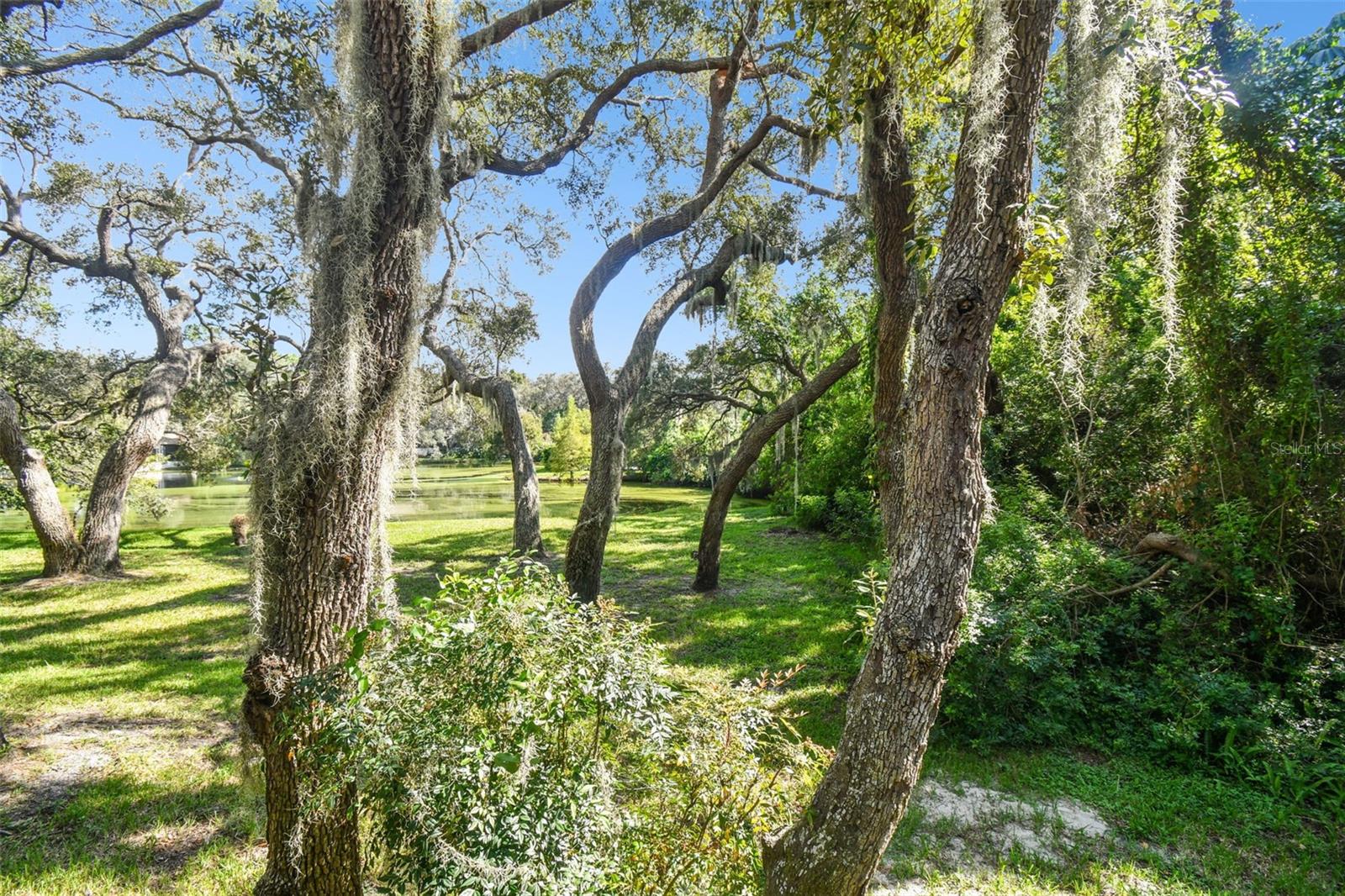 1900 WHISPERING WAY, TARPON SPRINGS, FL, 34689