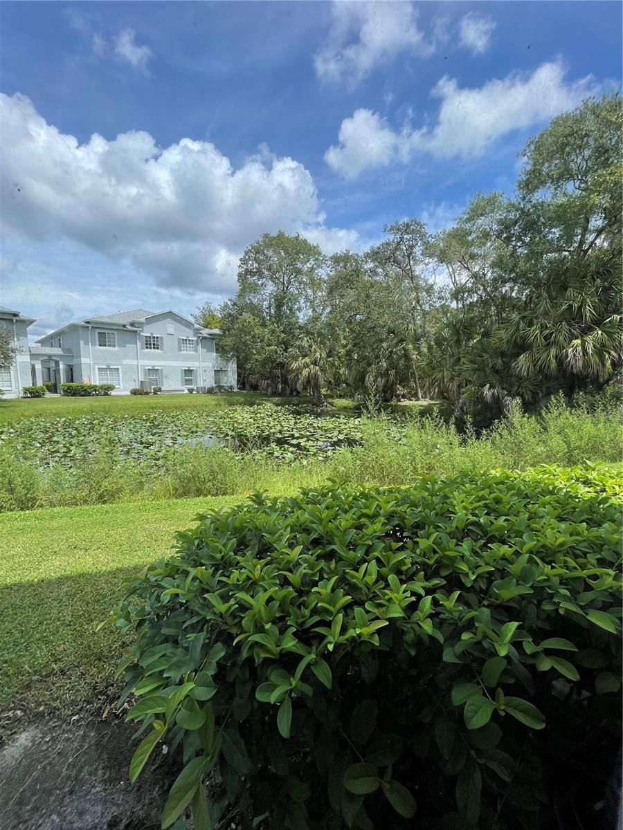 7135 WATERSIDE DR, TAMPA, FL, 33617