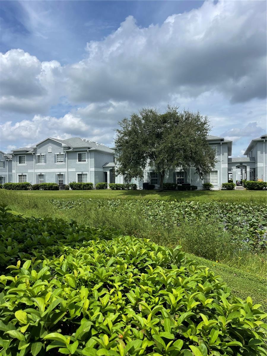 7135 WATERSIDE DR, TAMPA, FL, 33617