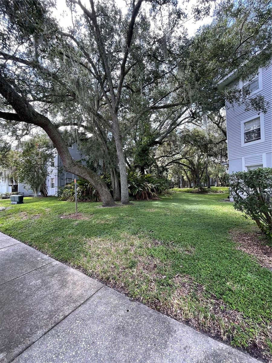 7135 WATERSIDE DR, TAMPA, FL, 33617