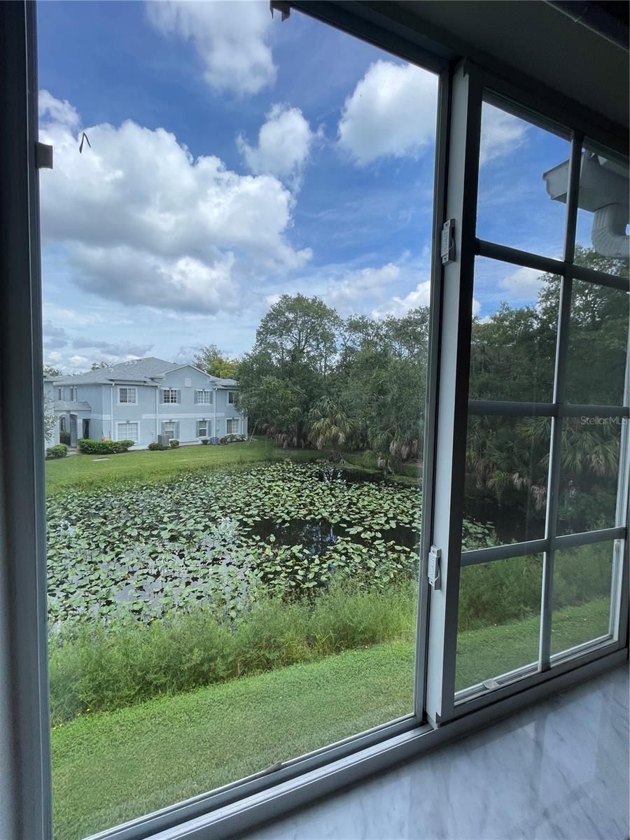 7135 WATERSIDE DR, TAMPA, FL, 33617