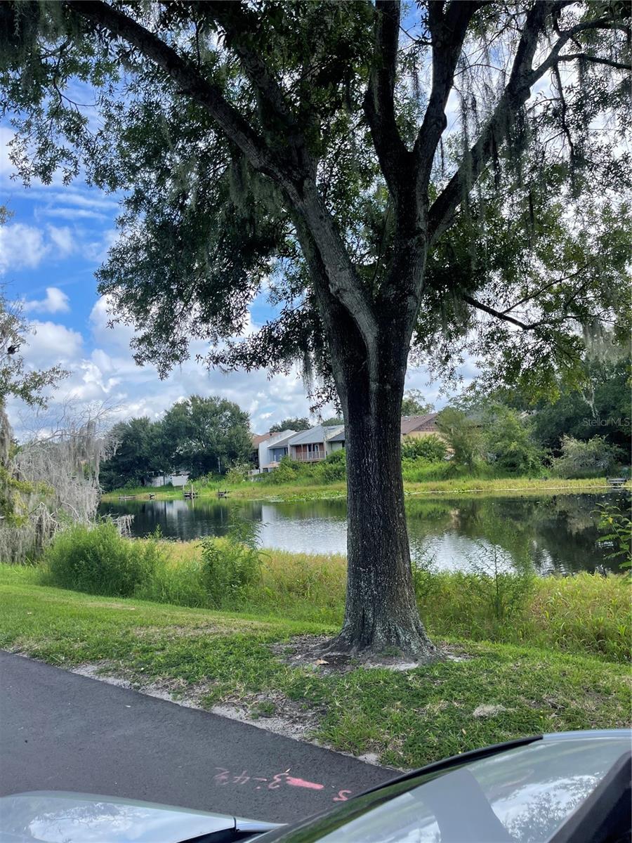 7135 WATERSIDE DR, TAMPA, FL, 33617