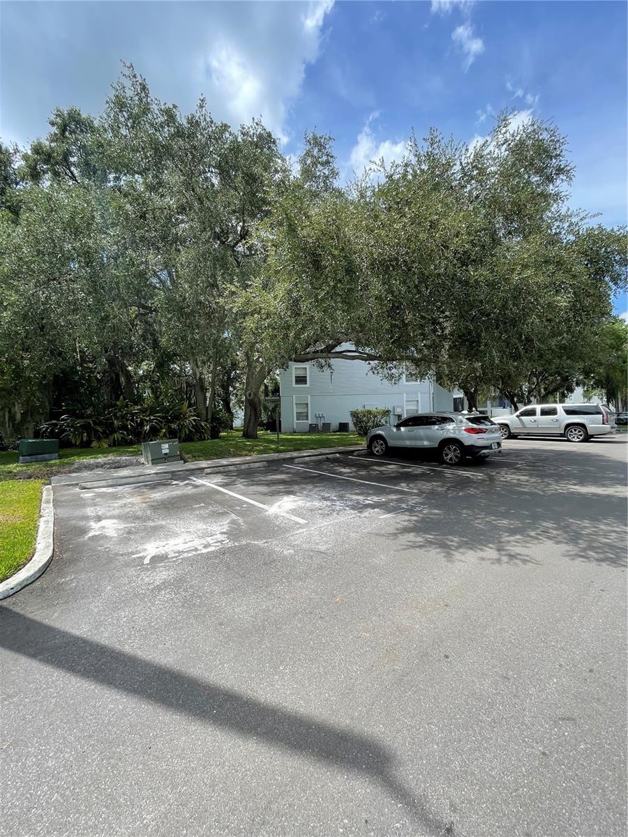 7135 WATERSIDE DR, TAMPA, FL, 33617