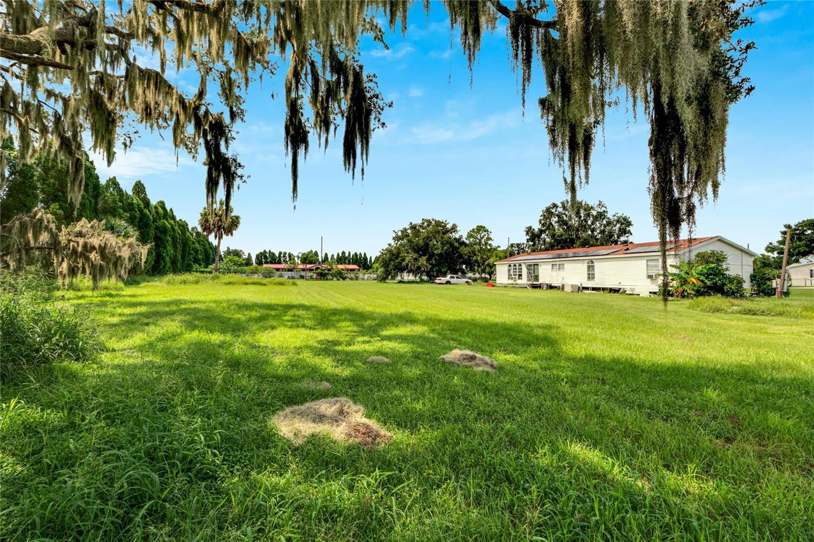 354 CESARA ESTATES DR, MULBERRY, FL, 33860