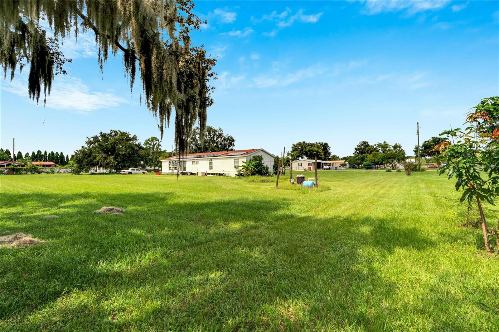354 CESARA ESTATES DR, MULBERRY, FL, 33860