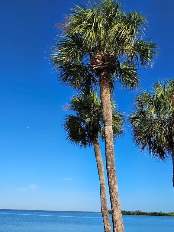 4851 W GANDY BLVD #B11L35, TAMPA, FL, 33611