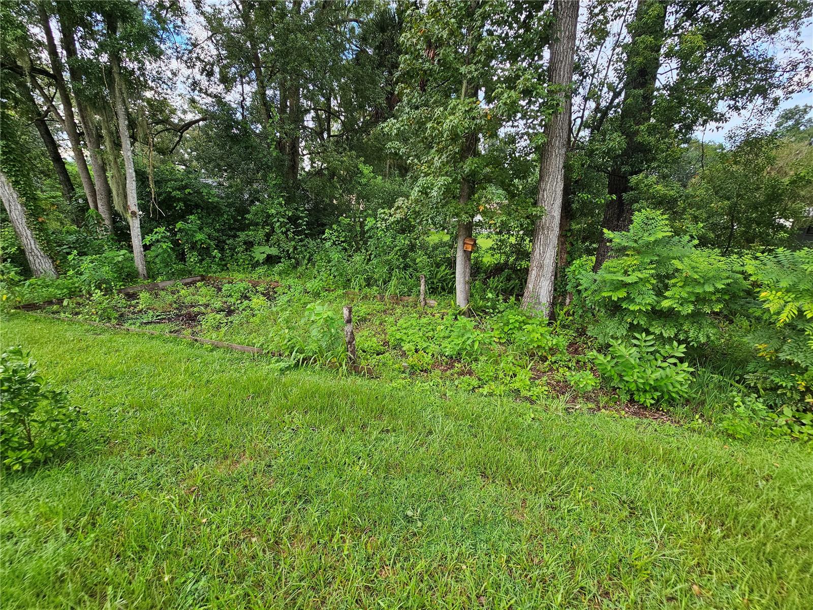 877 SE 28TH ST, OCALA, FL, 34471