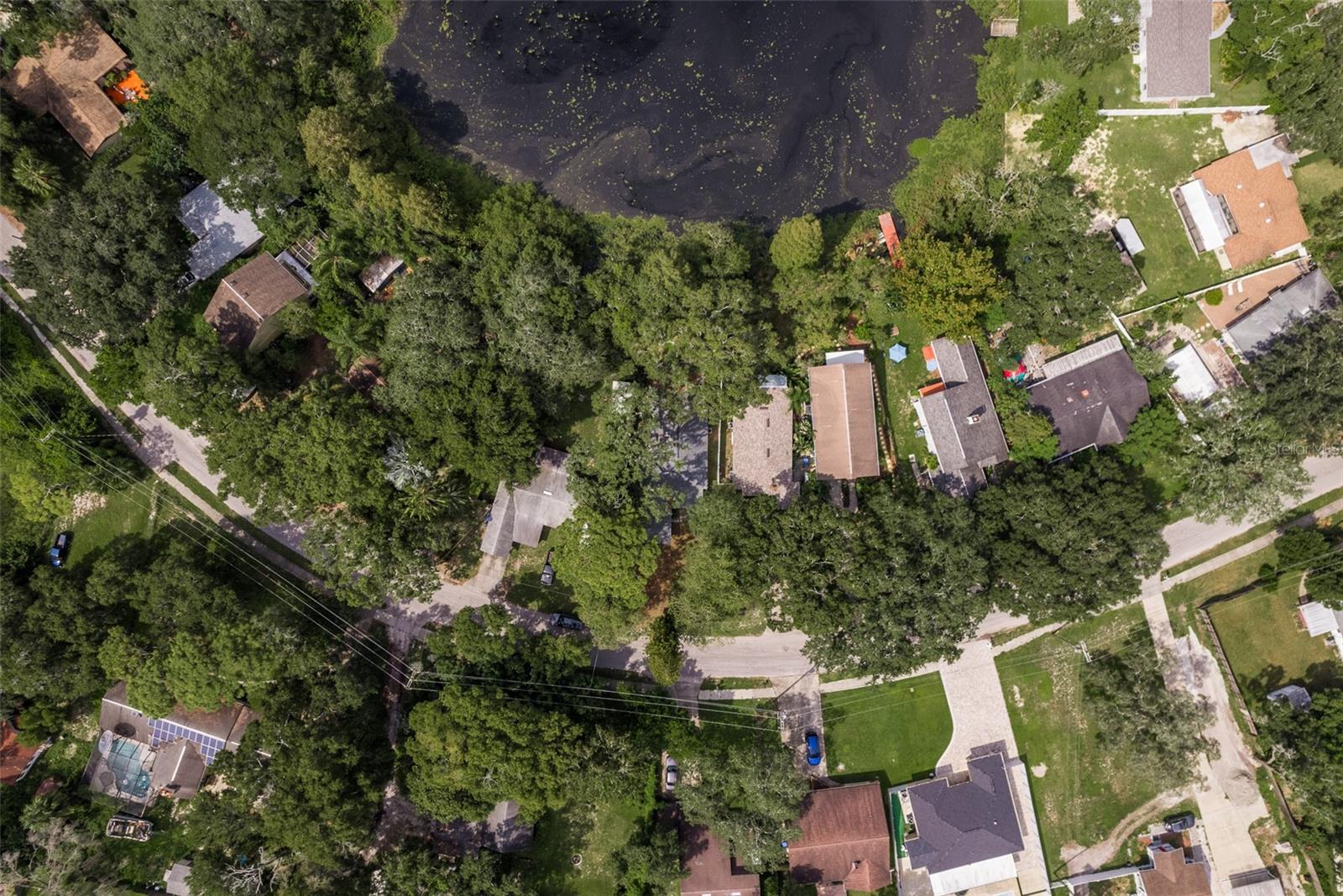 12318 WOODLEIGH AVE, TAMPA, FL, 33612