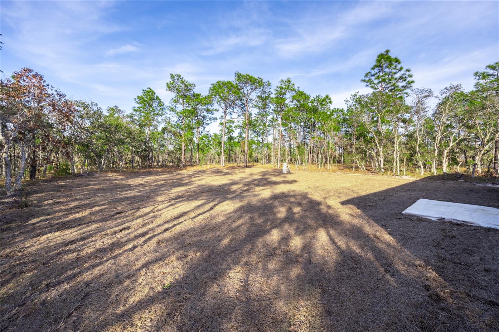 24119 NW MALLARD AVE, DUNNELLON, FL, 34431