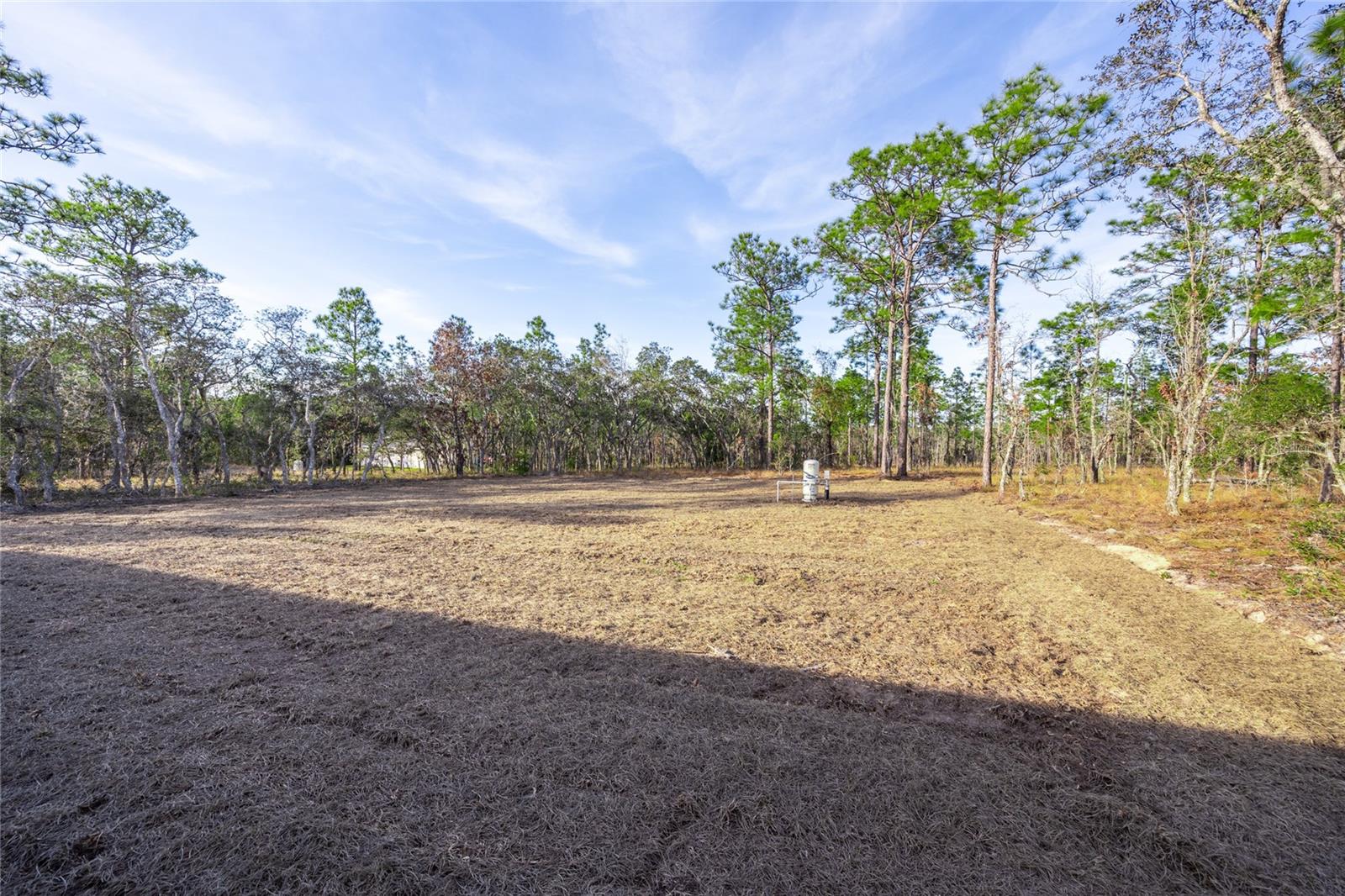 24119 NW MALLARD AVE, DUNNELLON, FL, 34431