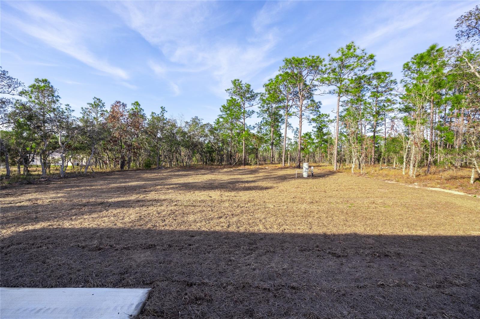 24119 NW MALLARD AVE, DUNNELLON, FL, 34431