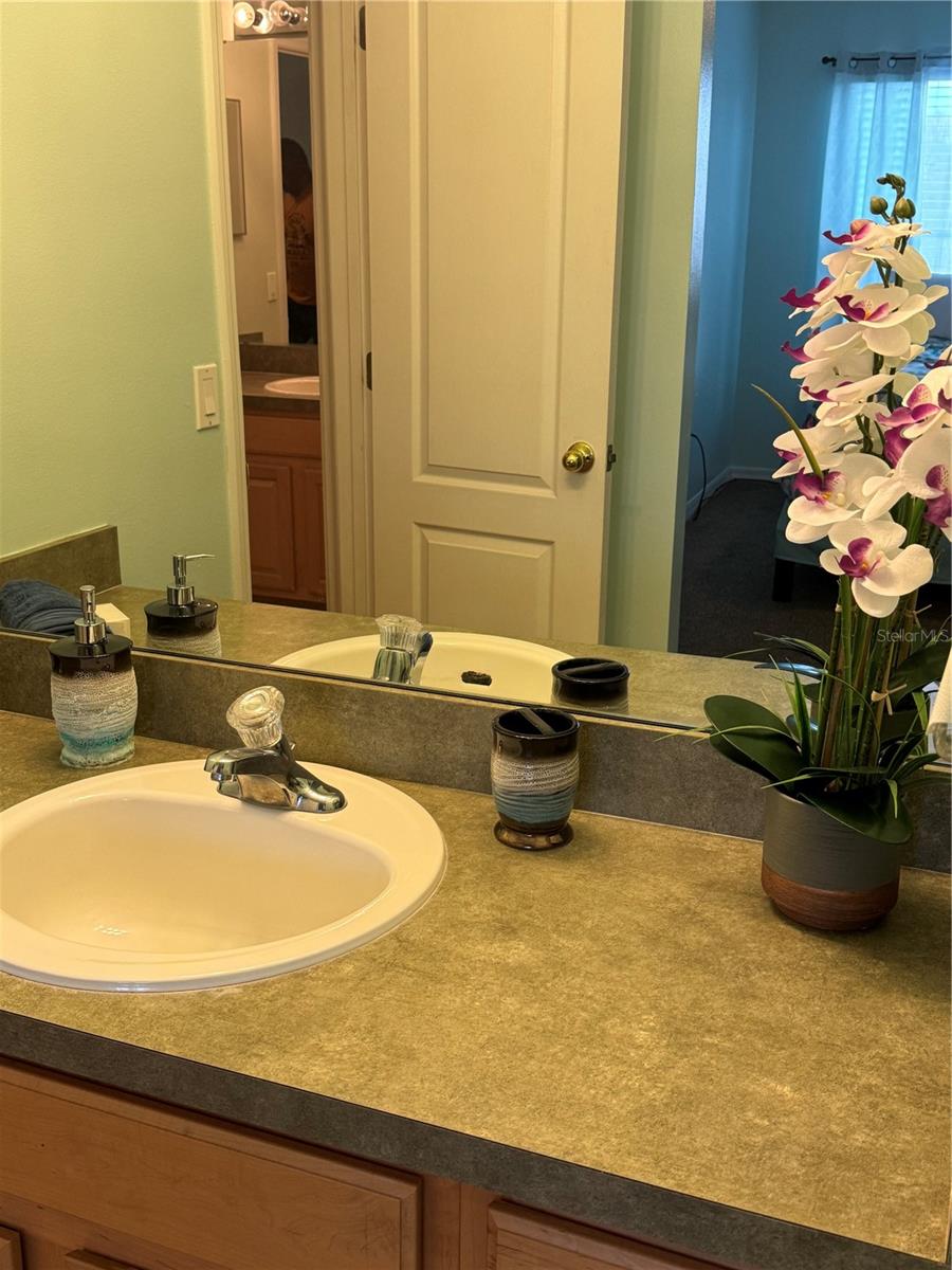 3450 MARSHFIELD PRESERVE WAY, KISSIMMEE, FL, 34746