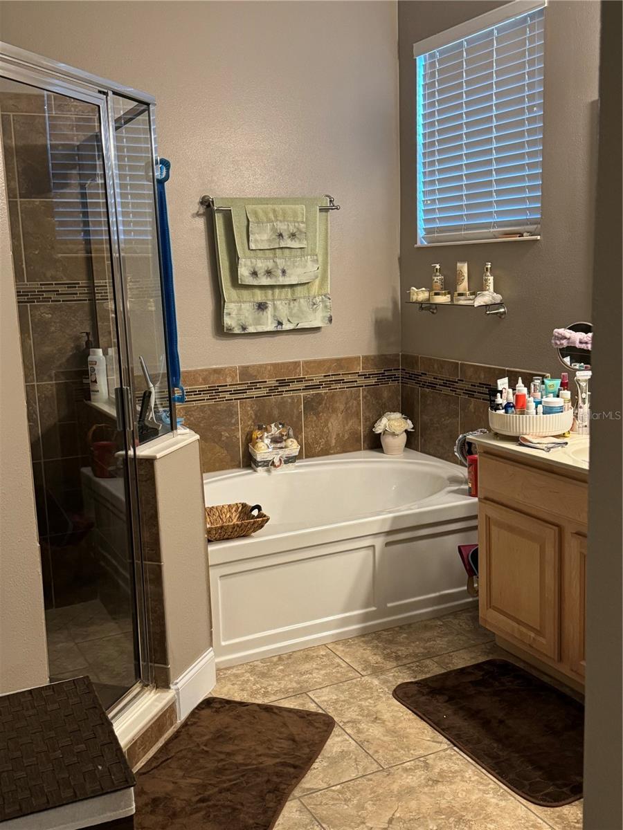 3450 MARSHFIELD PRESERVE WAY, KISSIMMEE, FL, 34746