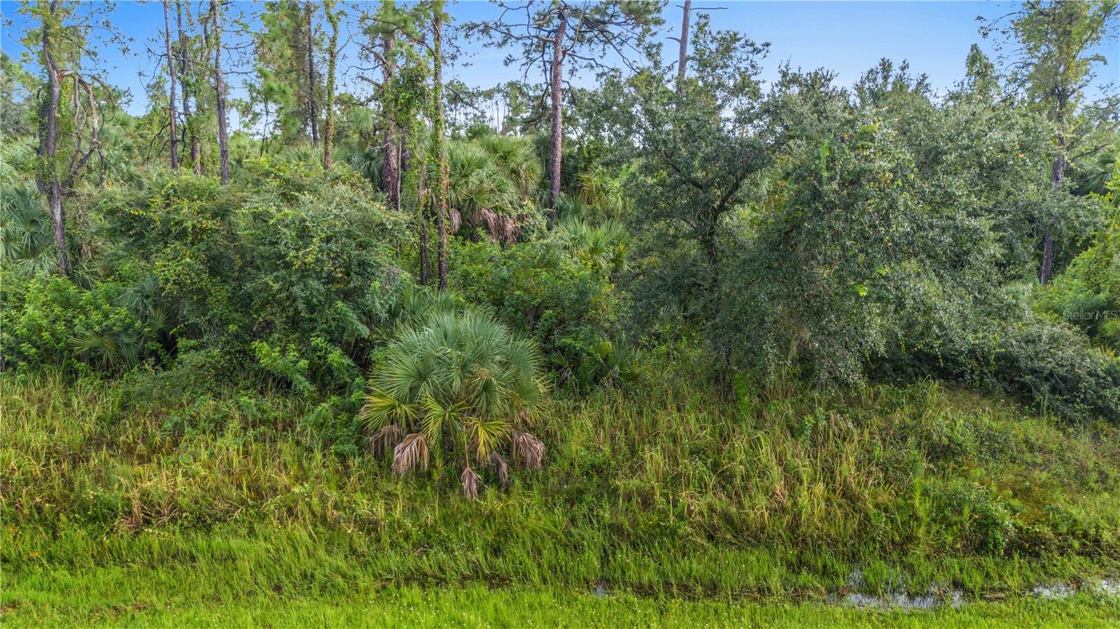 BAYWOOD DR, NORTH PORT, FL, 34288