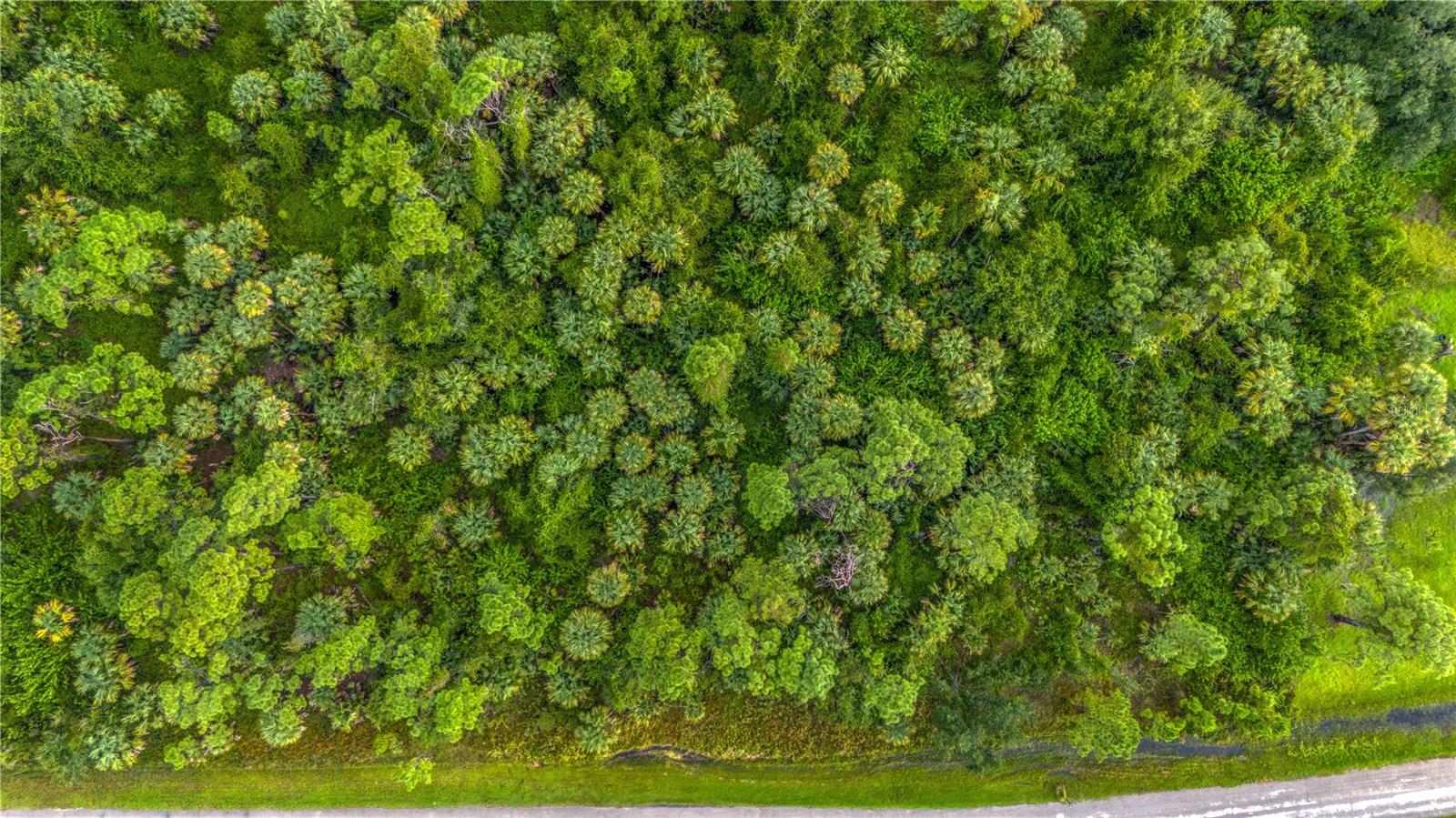 BAYWOOD DR, NORTH PORT, FL, 34288