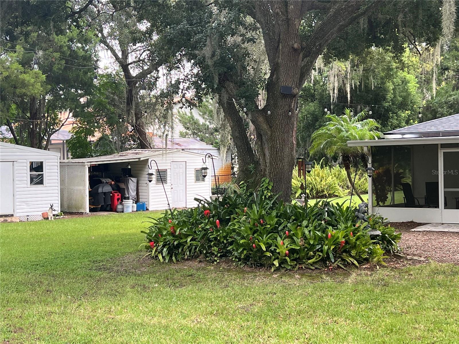 11136 BRONSON RD, CLERMONT, FL, 34711