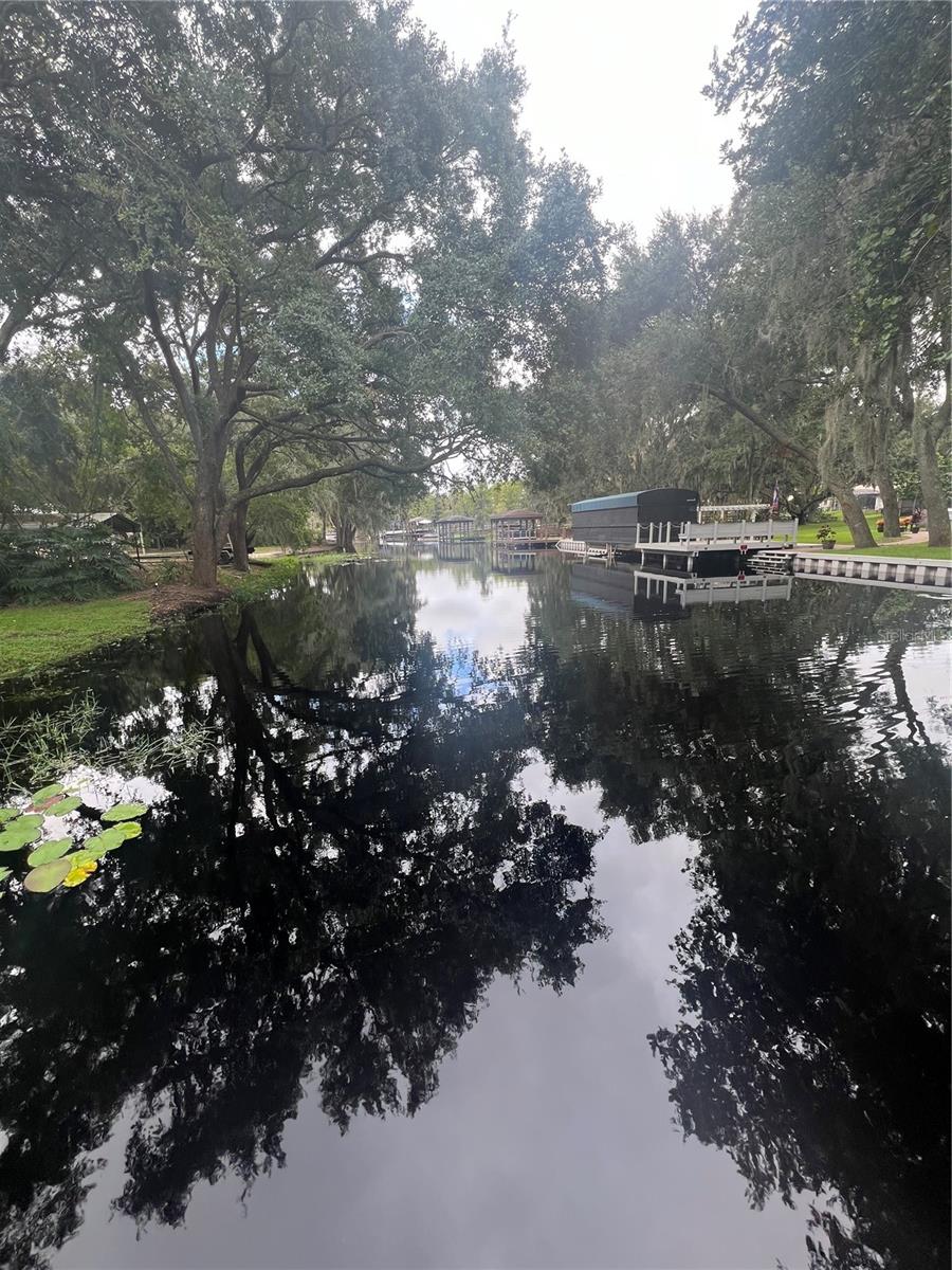 11136 BRONSON RD, CLERMONT, FL, 34711