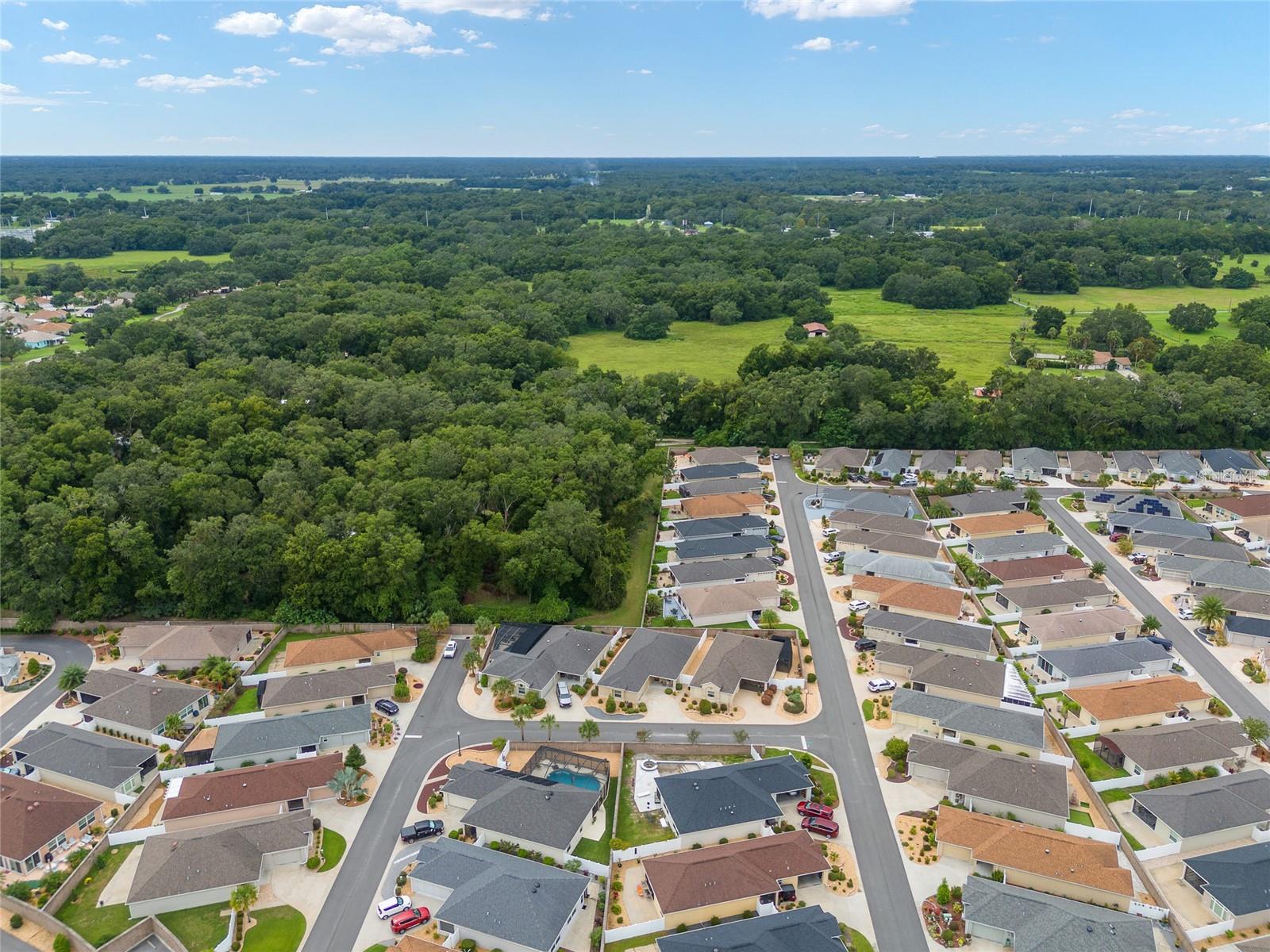 16888 SE 73RD TIM TER, THE VILLAGES, FL, 32162