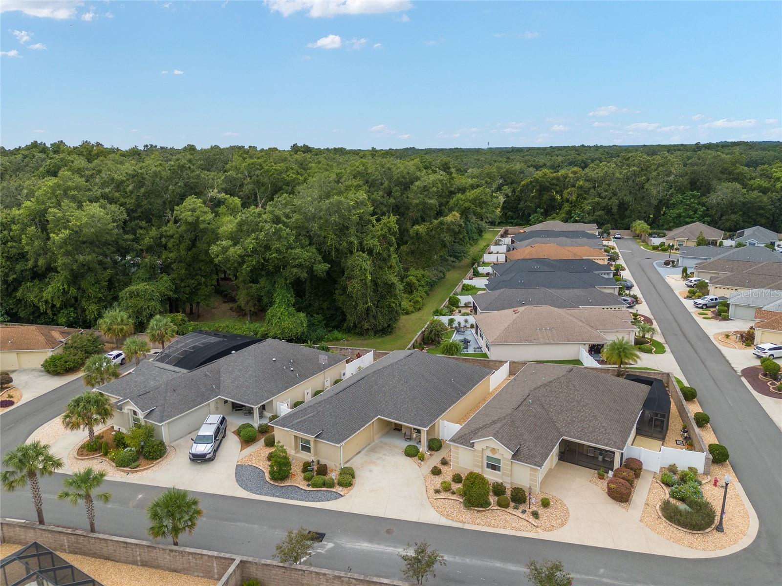16888 SE 73RD TIM TER, THE VILLAGES, FL, 32162