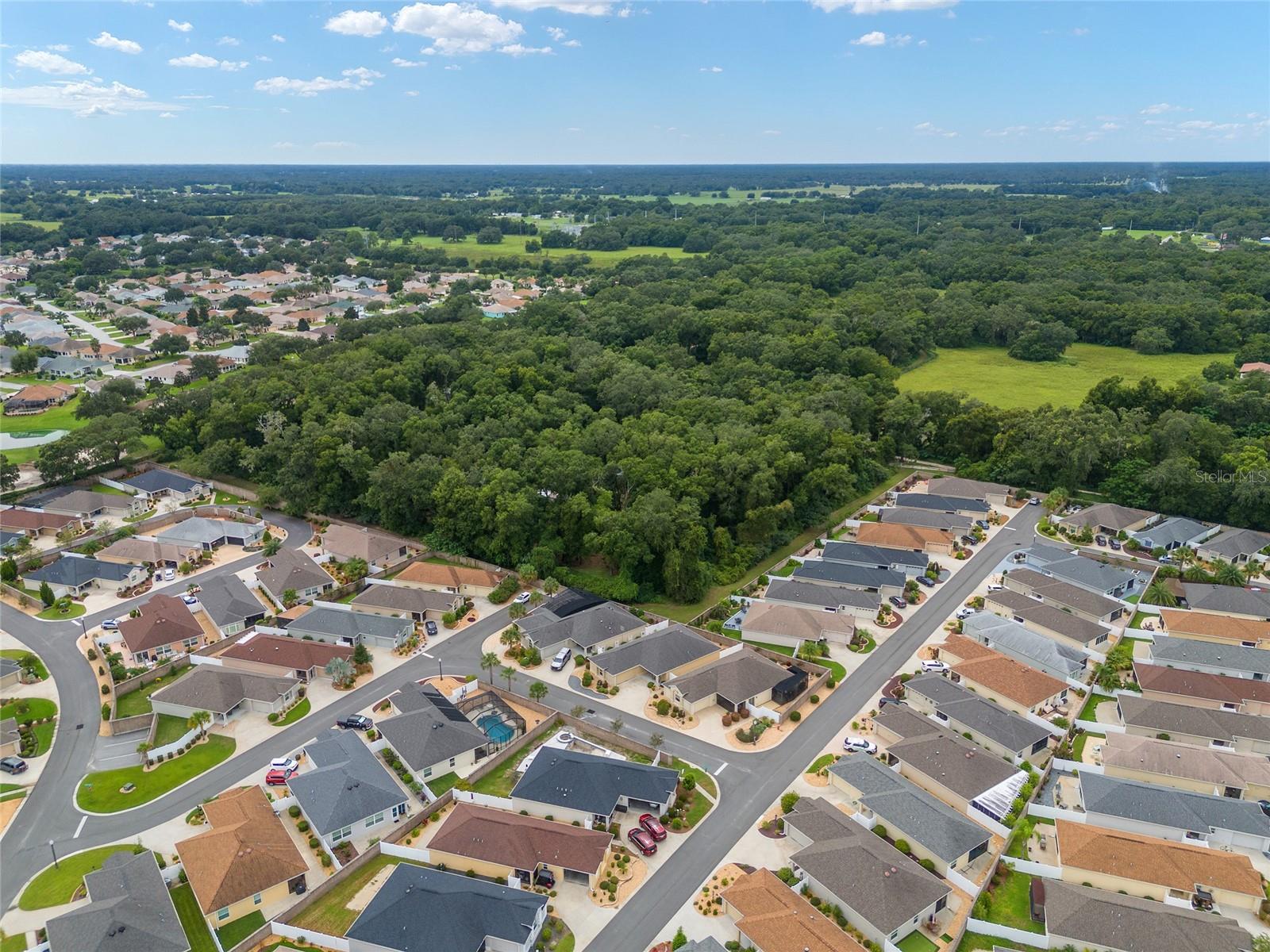 16888 SE 73RD TIM TER, THE VILLAGES, FL, 32162