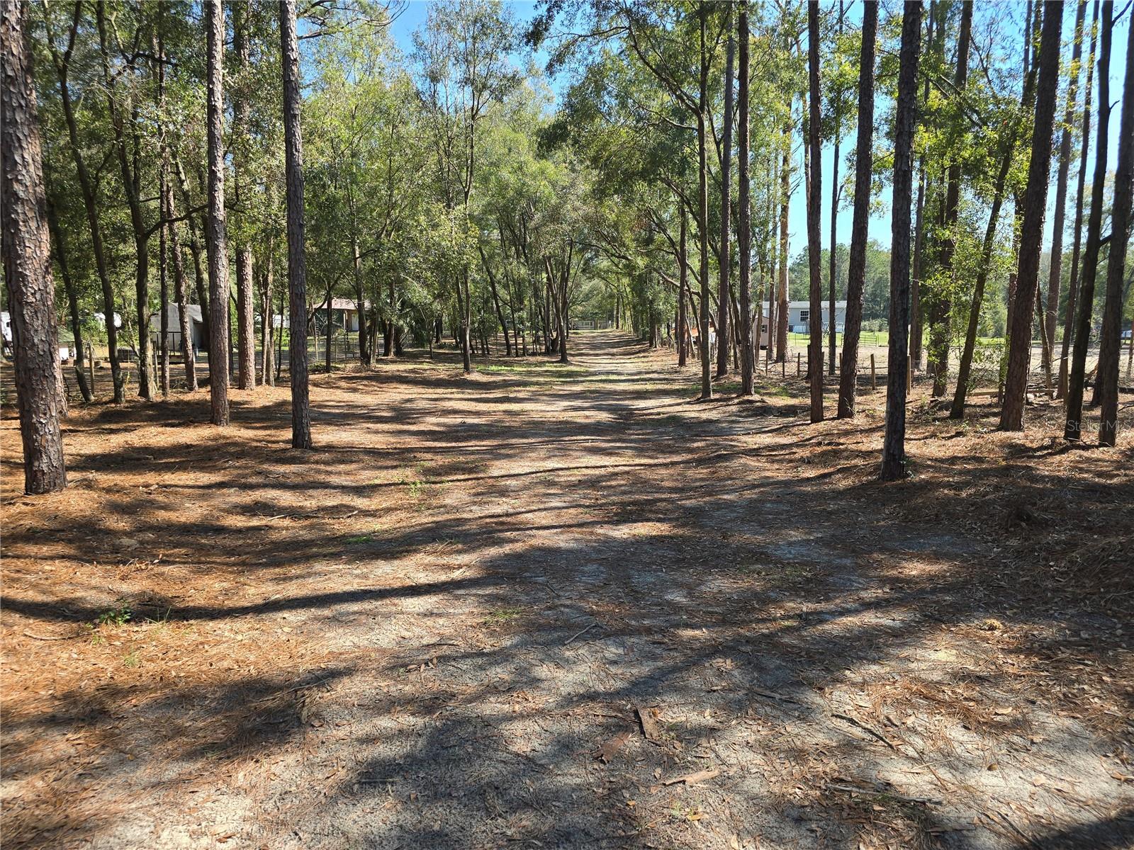 3174 SW 189TH AVE, DUNNELLON, FL, 34432