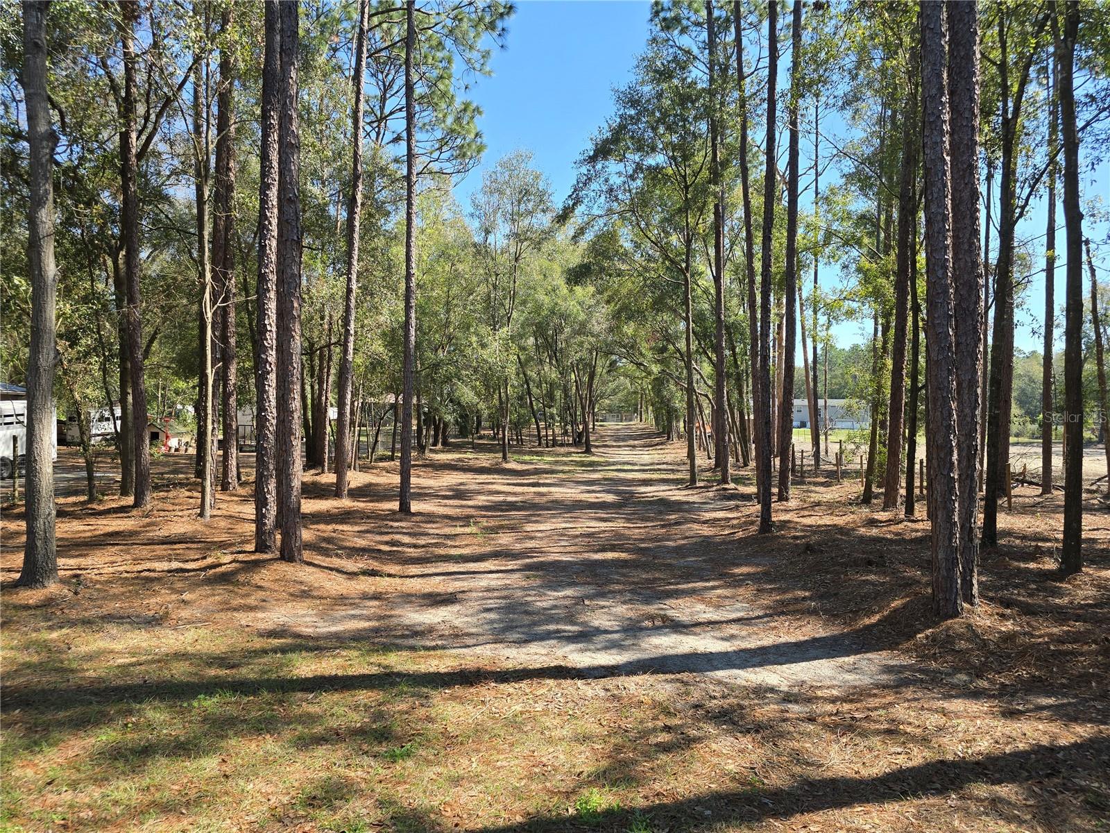 3174 SW 189TH AVE, DUNNELLON, FL, 34432
