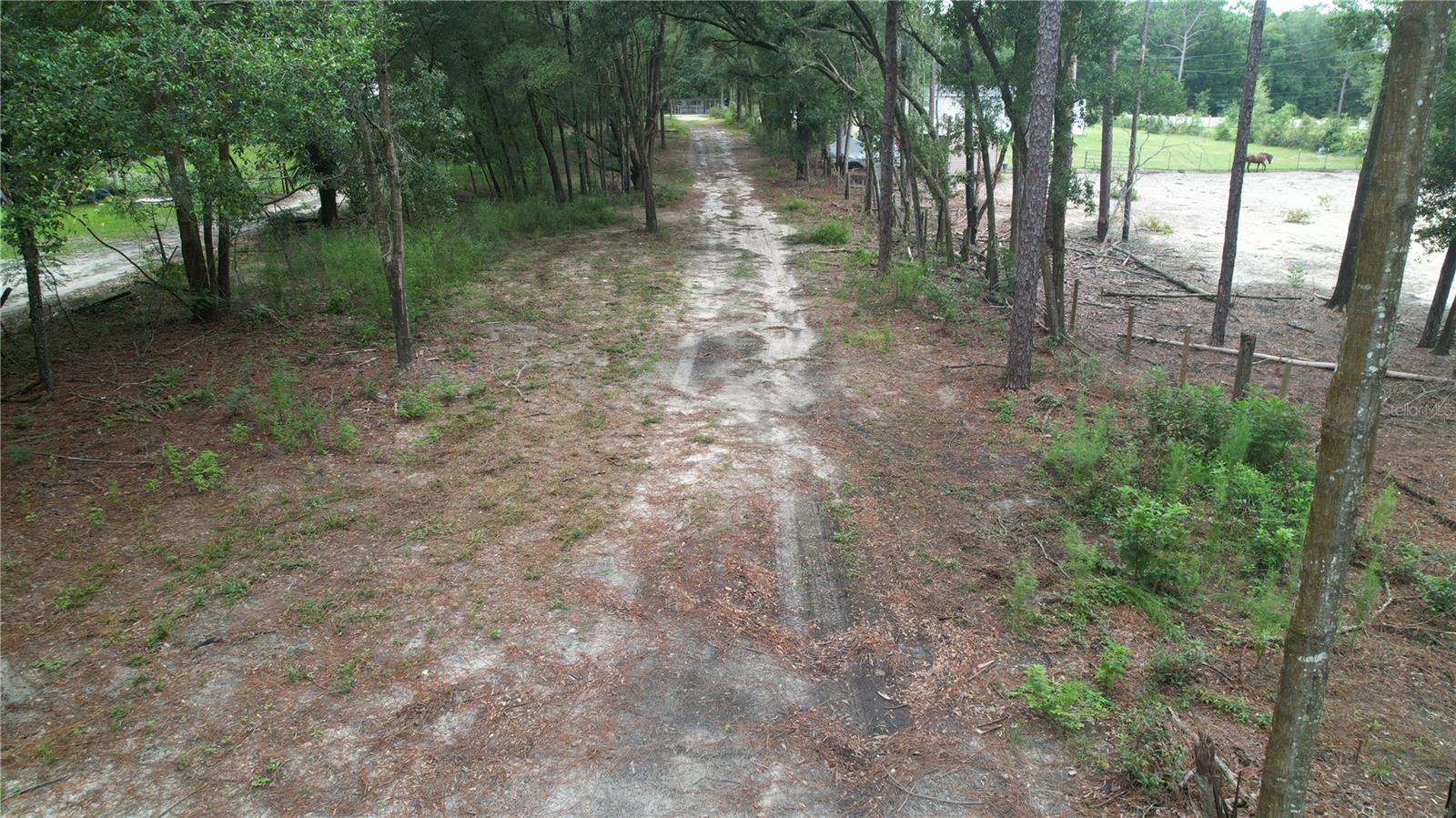 3174 SW 189TH AVE, DUNNELLON, FL, 34432