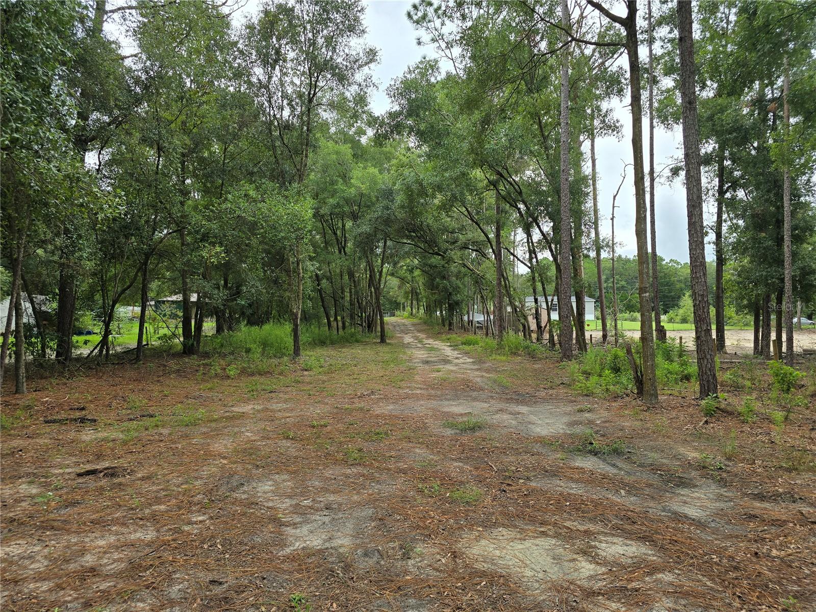 3174 SW 189TH AVE, DUNNELLON, FL, 34432