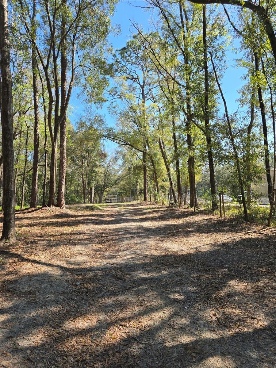 3174 SW 189TH AVE, DUNNELLON, FL, 34432