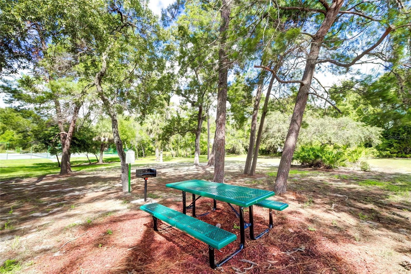 6067 PATRICIA PL, WEEKI WACHEE, FL, 34607