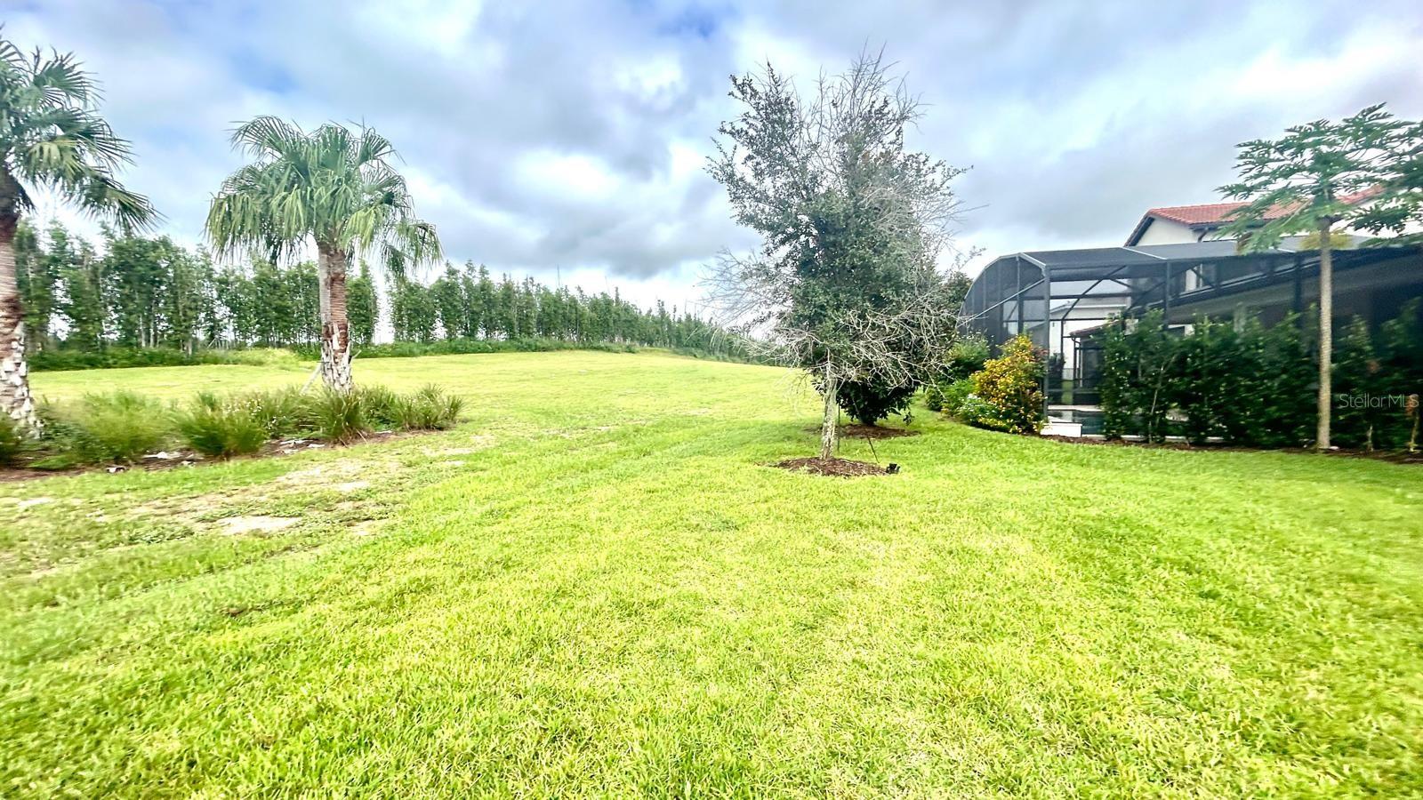 8349 TOPSAIL PL, WINTER GARDEN, FL, 34787