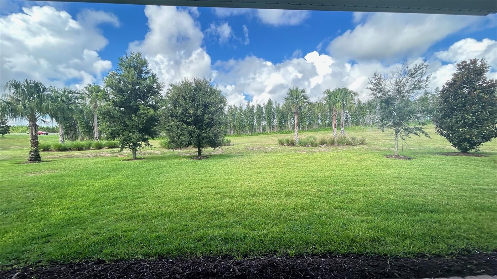 8349 TOPSAIL PL, WINTER GARDEN, FL, 34787