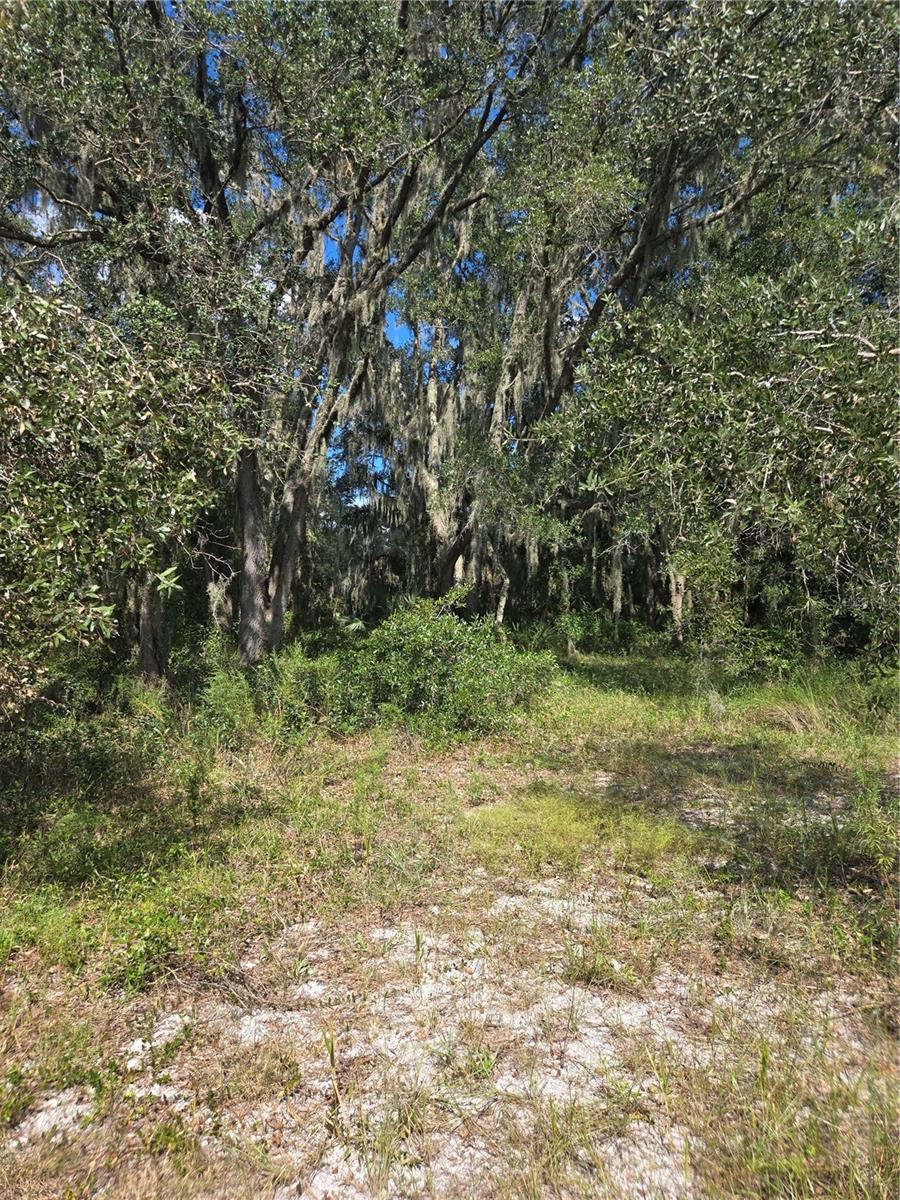TBD SW SHOREWOOD DR N, DUNNELLON, FL, 34431