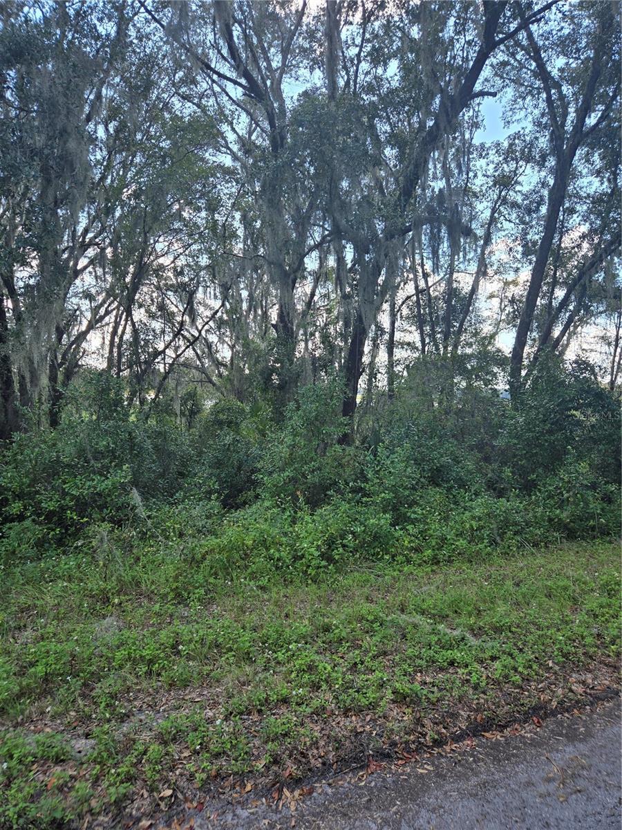 TBD SW SHOREWOOD DR N, DUNNELLON, FL, 34431