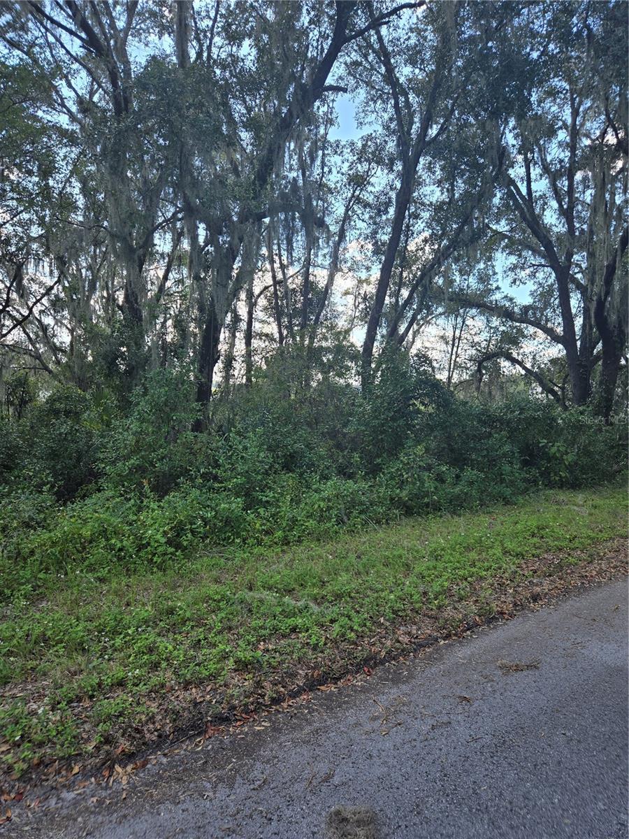 TBD SW SHOREWOOD DR N, DUNNELLON, FL, 34431
