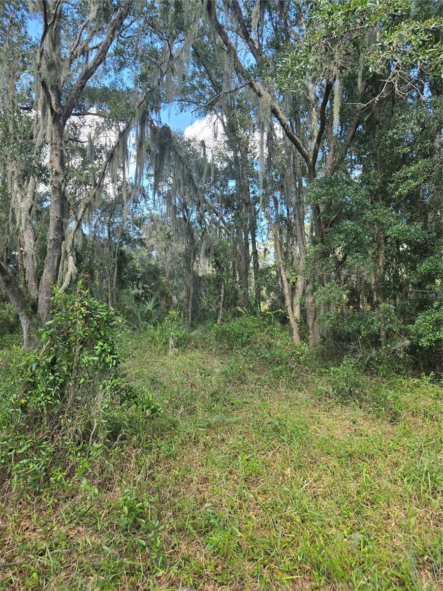 TBD SW SHOREWOOD DR N, DUNNELLON, FL, 34431