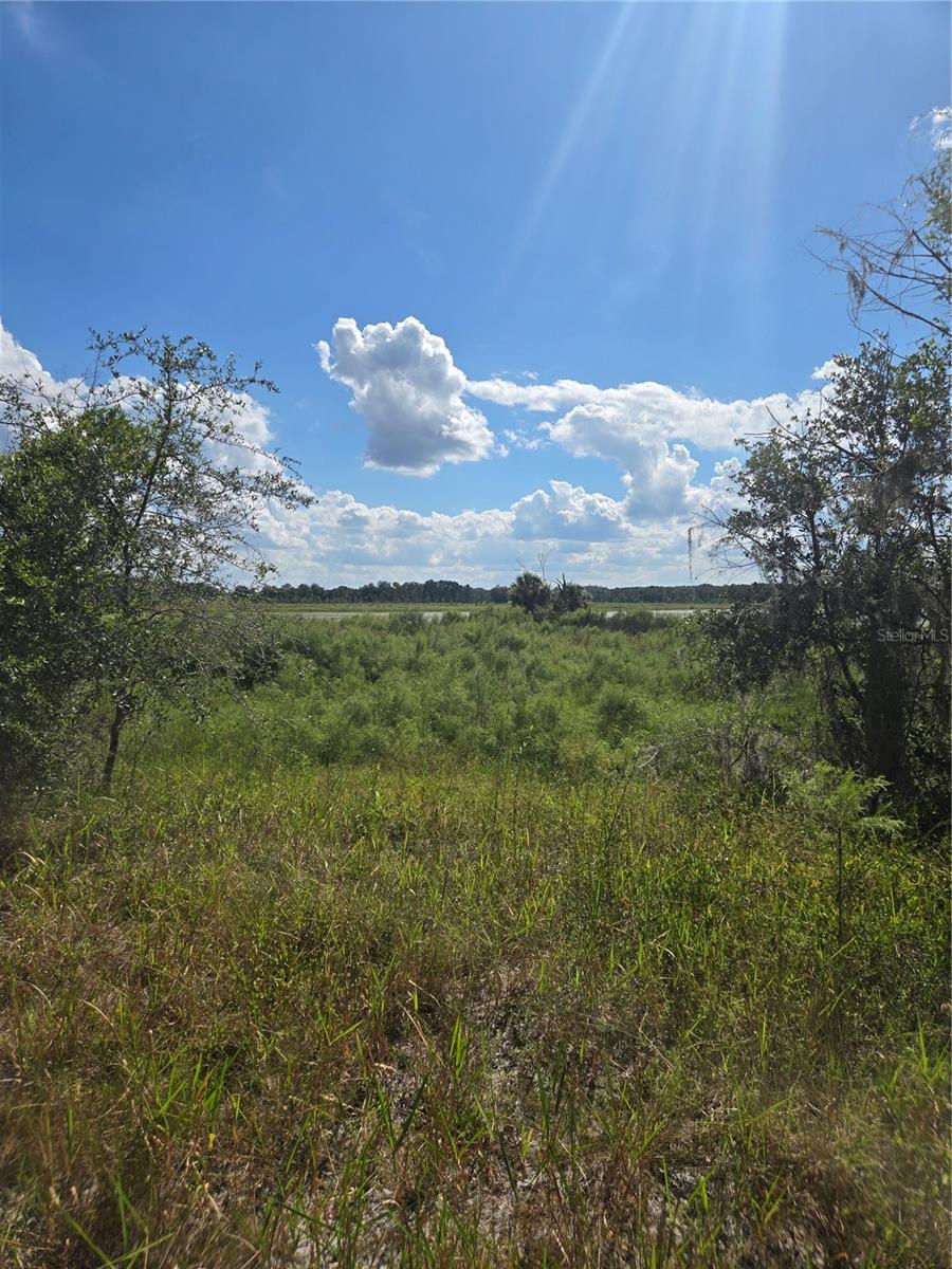 TBD SW SHOREWOOD DR N, DUNNELLON, FL, 34431