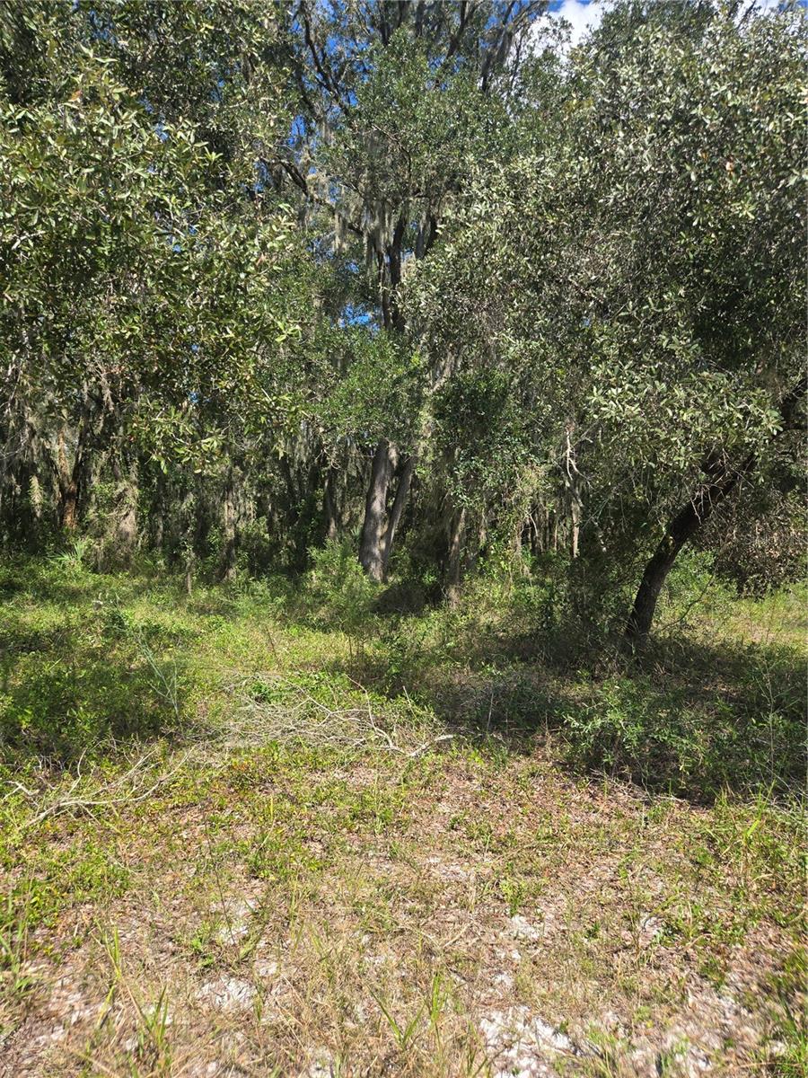TBD SW SHOREWOOD DR N, DUNNELLON, FL, 34431