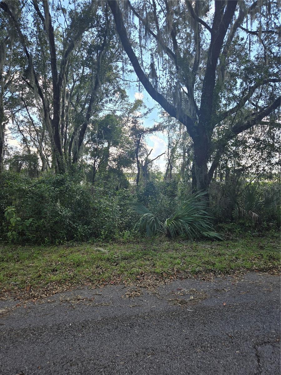 TBD SW SHOREWOOD DR N, DUNNELLON, FL, 34431