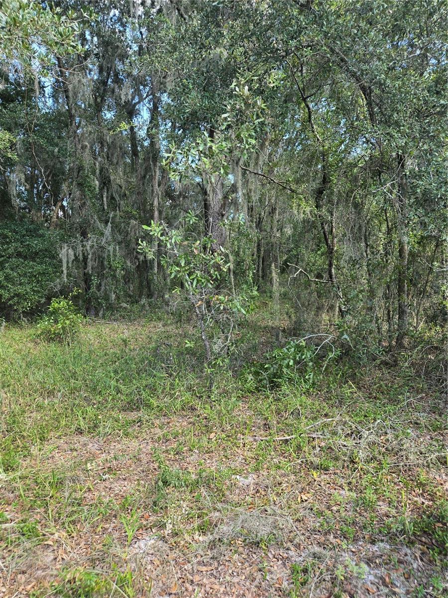 TBD SW SHOREWOOD DR N, DUNNELLON, FL, 34431