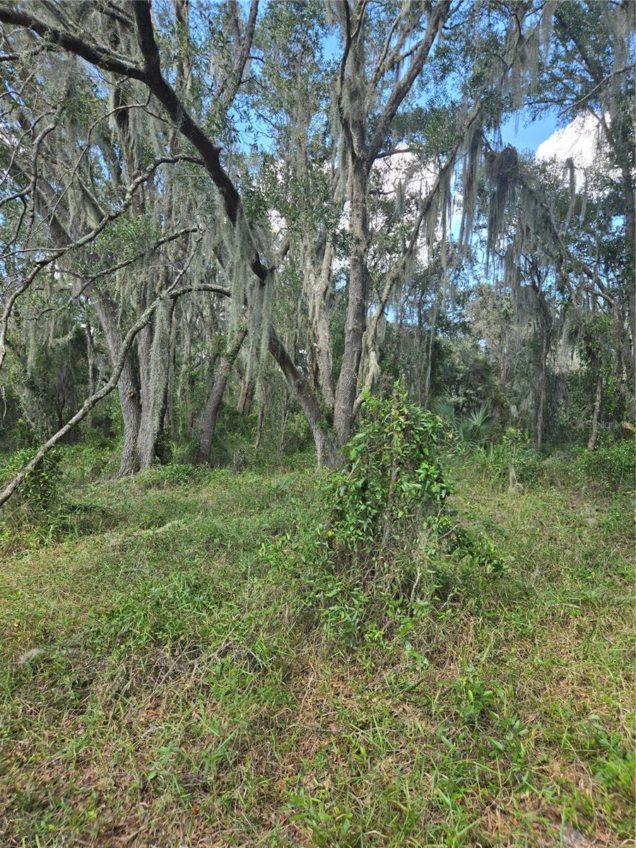 TBD SW SHOREWOOD DR N, DUNNELLON, FL, 34431