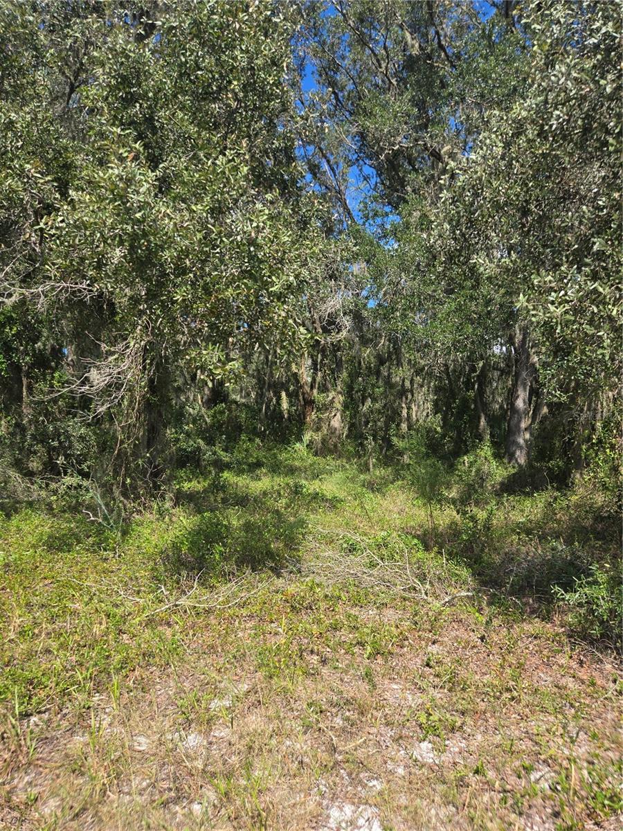 TBD SW SHOREWOOD DR N, DUNNELLON, FL, 34431