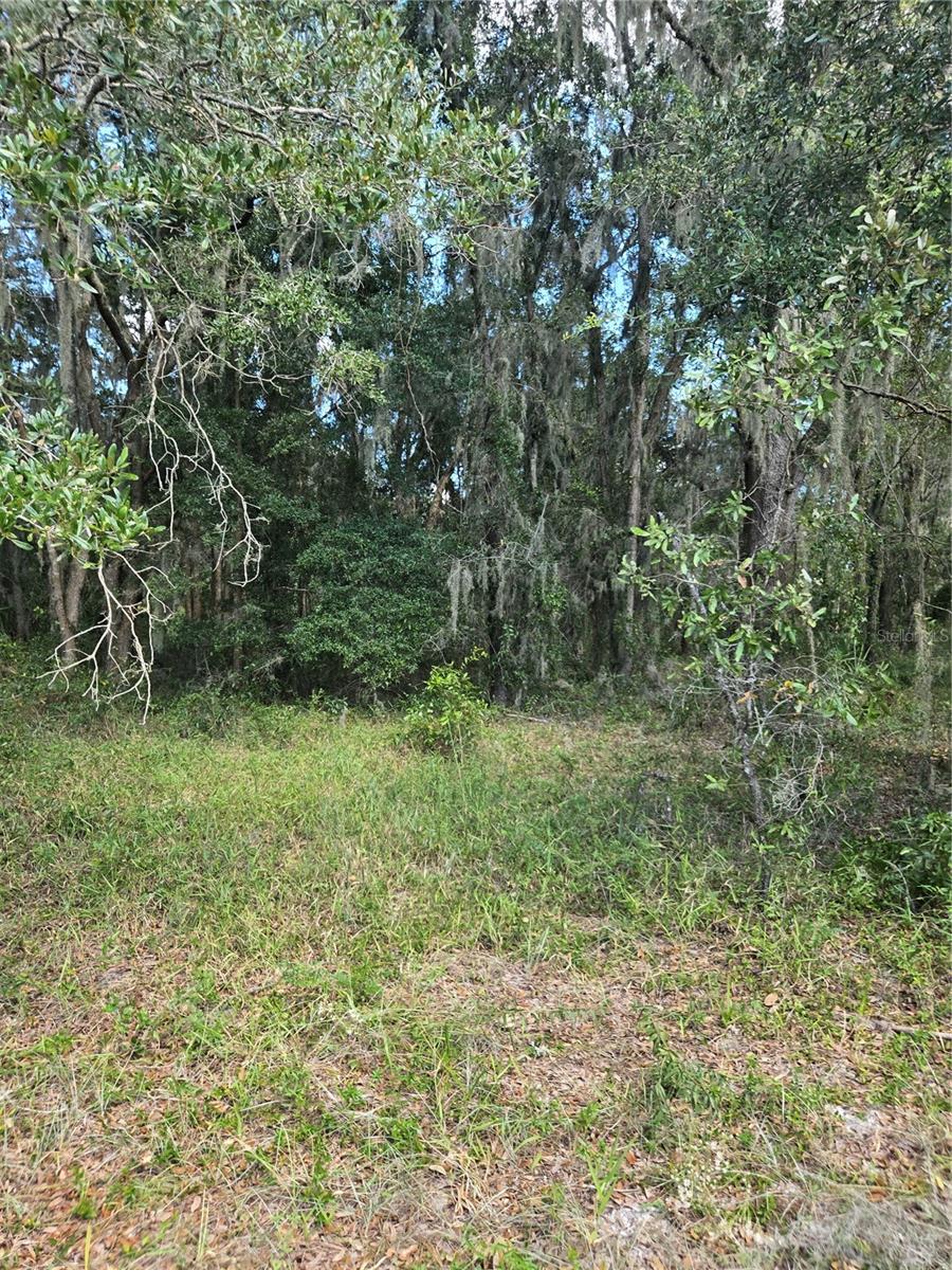 TBD SW SHOREWOOD DR N, DUNNELLON, FL, 34431